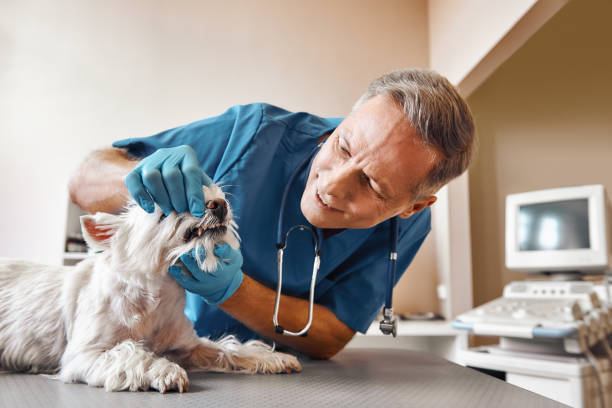 Best Emergency Dental Surgery in Gainesville, FL